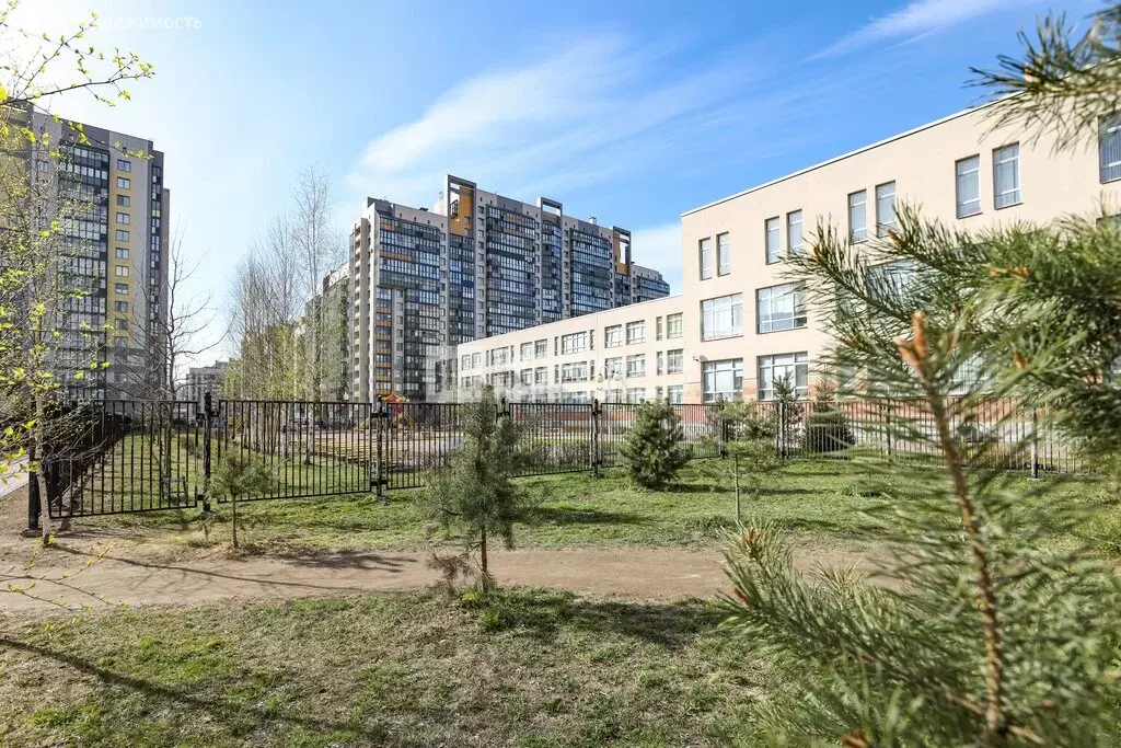 Квартира-студия: Санкт-Петербург, улица Катерников, 7 (23.9 м) - Фото 2