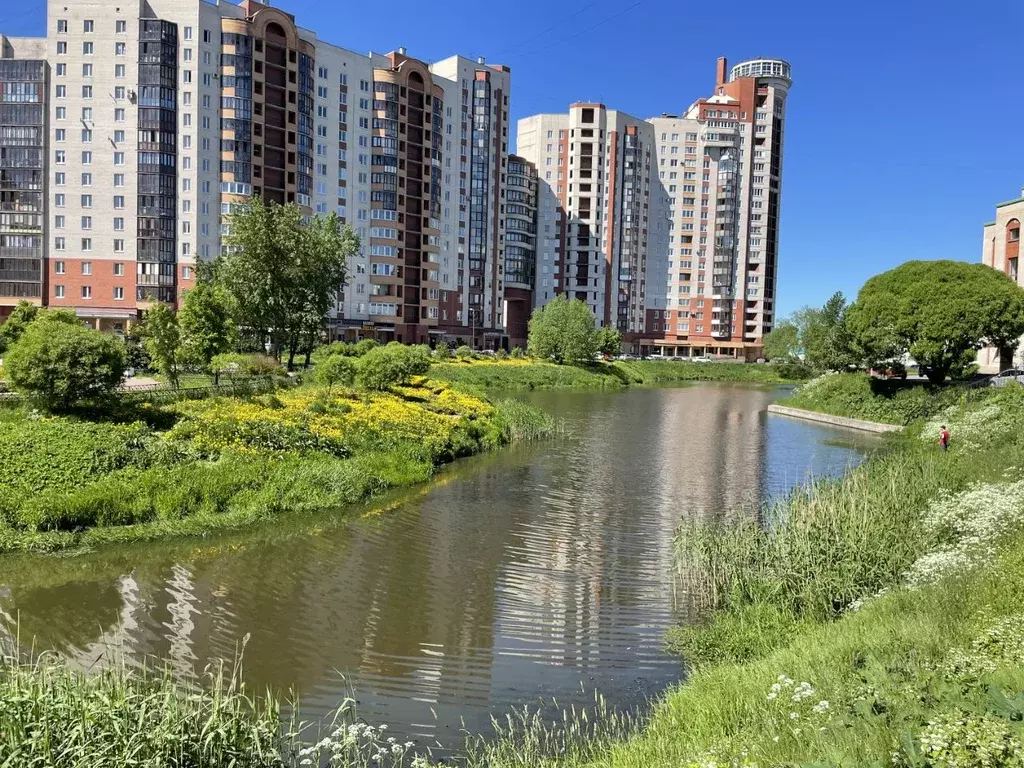 Снять квартиру на сутки метро Проспект Ветеранов, снять квартиру посуточно  метро Проспект Ветеранов недорого на AFY.ru