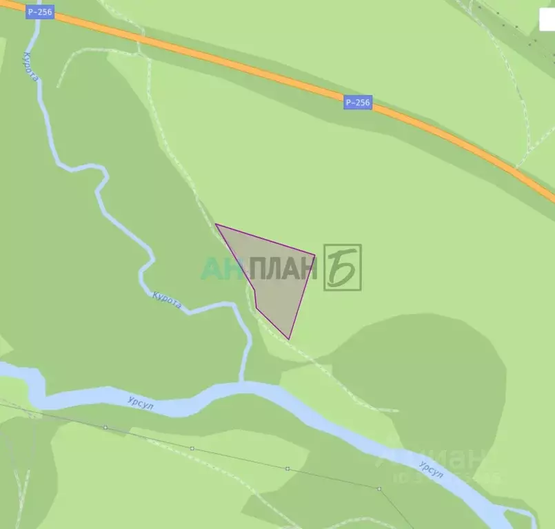 Участок в Алтай, Онгудайский район, с. Каракол  (282.17 сот.) - Фото 2
