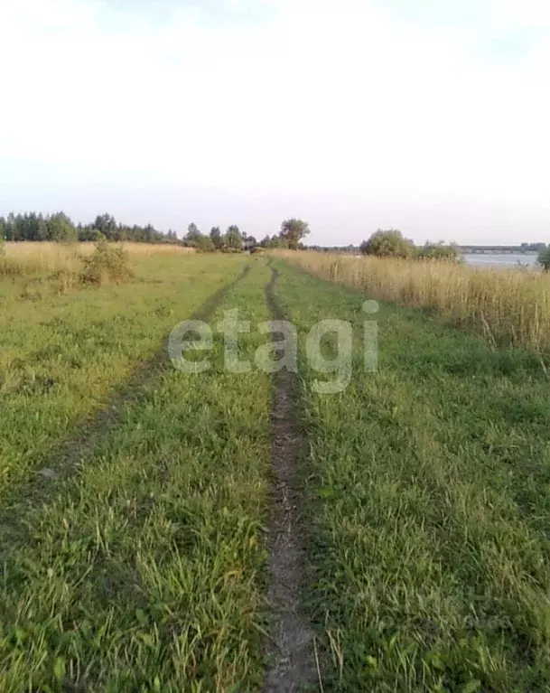 Участок в Ярославская область, Ярославский муниципальный округ, д. ... - Фото 2
