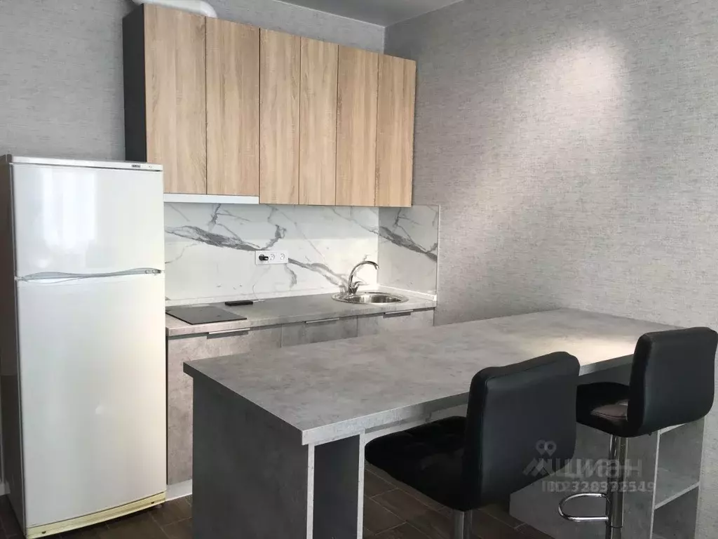 Студия Московская область, Домодедово городской округ, с. Домодедово ... - Фото 1