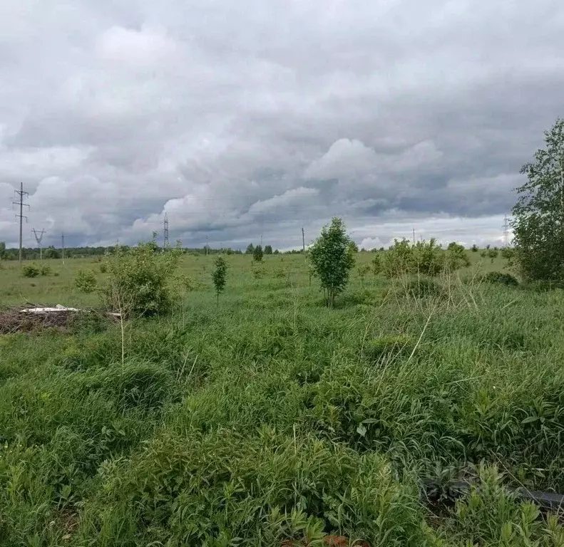 Участок в Московская область, Серпухов городской округ, д. Нефедово  ... - Фото 1
