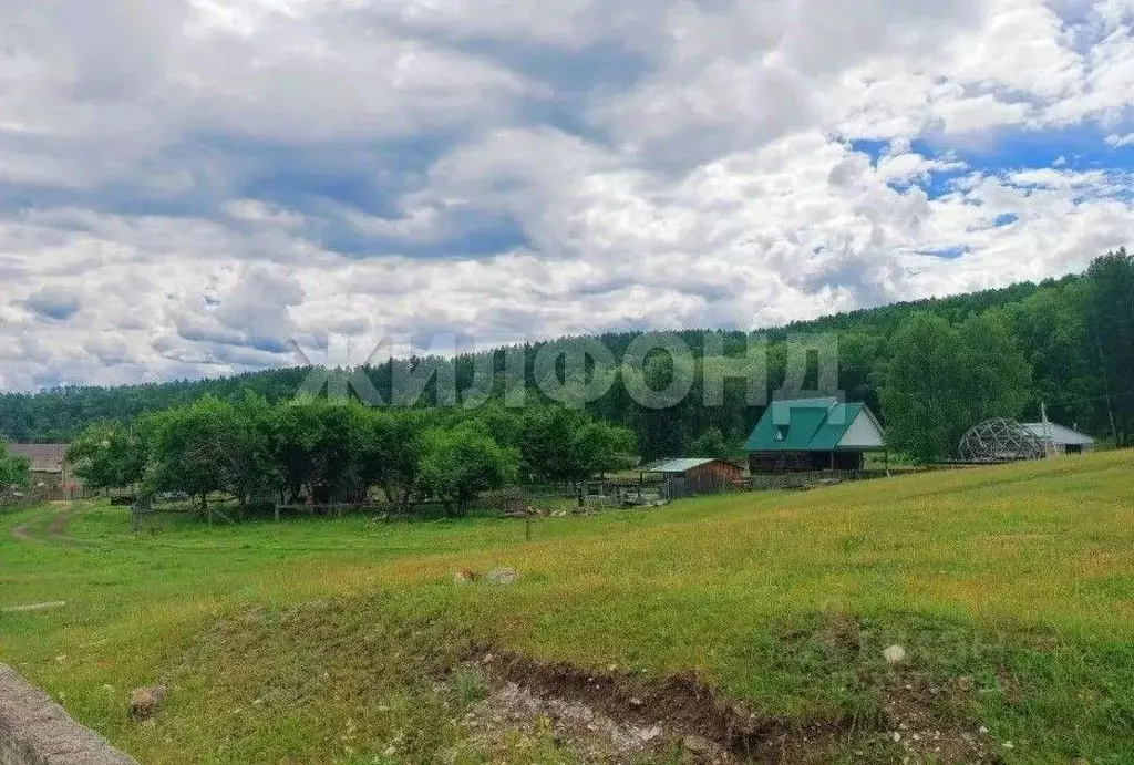 Участок в Алтай, Усть-Коксинский район, с. Усть-Кокса Березовая ул. ... - Фото 1