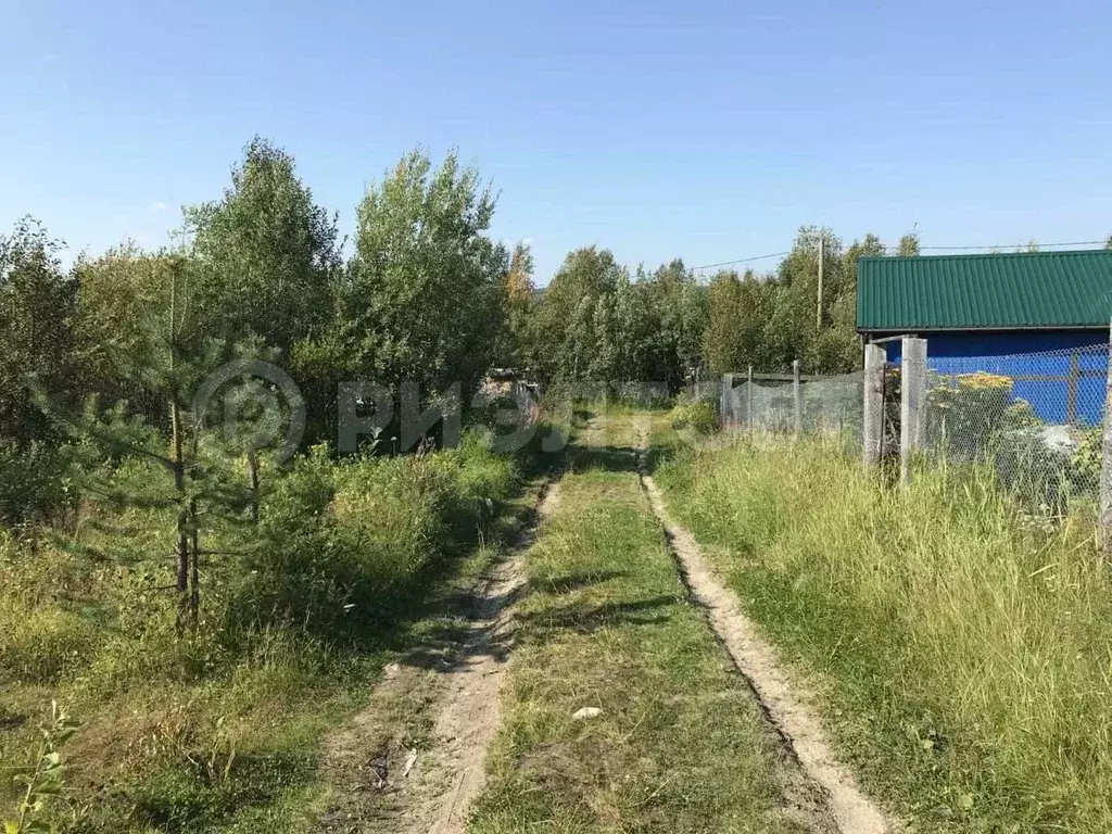 Участок в Мурманская область, Кольский район, Кильдинстрой городское ... - Фото 1