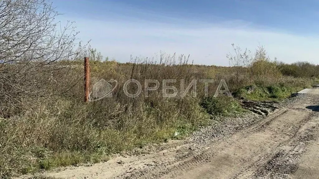 Участок в Тюменская область, Тюмень Березняки-2 садовое товарищество, ... - Фото 1