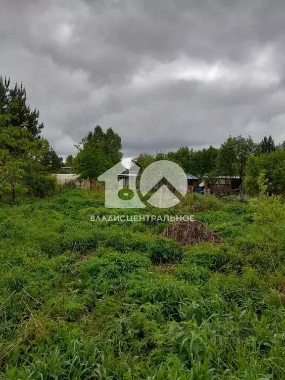 Участок в Новосибирская область, Новосибирский район, Березовский ... - Фото 1