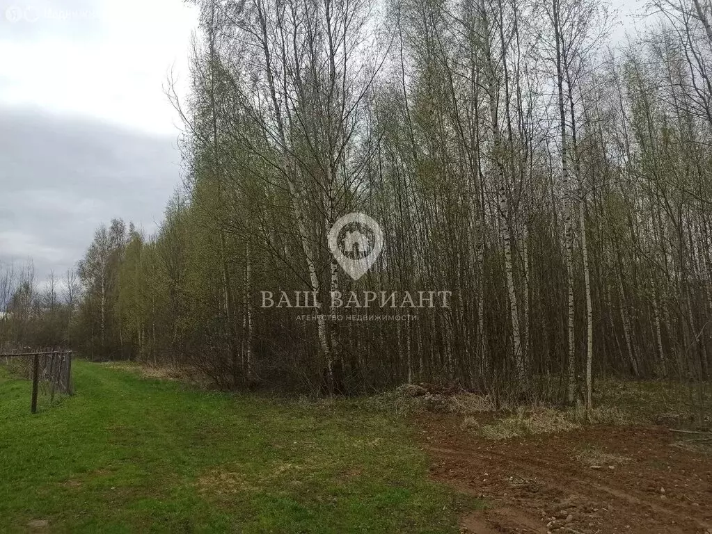 Участок в Ярославская область, Рыбинский муниципальный округ, деревня ... - Фото 2