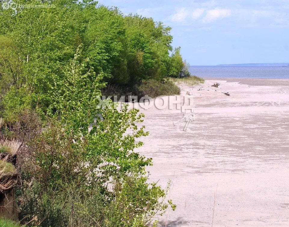 Участок в Ордынский район, село Красный Яр (1973 м) - Фото 0