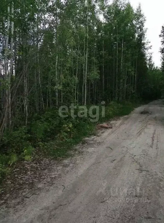 Участок в Ханты-Мансийский АО, Ханты-Мансийск Геофизик-2 СОТ,  (10.0 ... - Фото 1