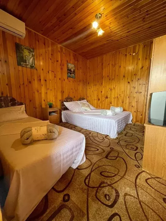 Комната Краснодарский край, Сочи ул. Мартовская, 12 (18.0 м) - Фото 1