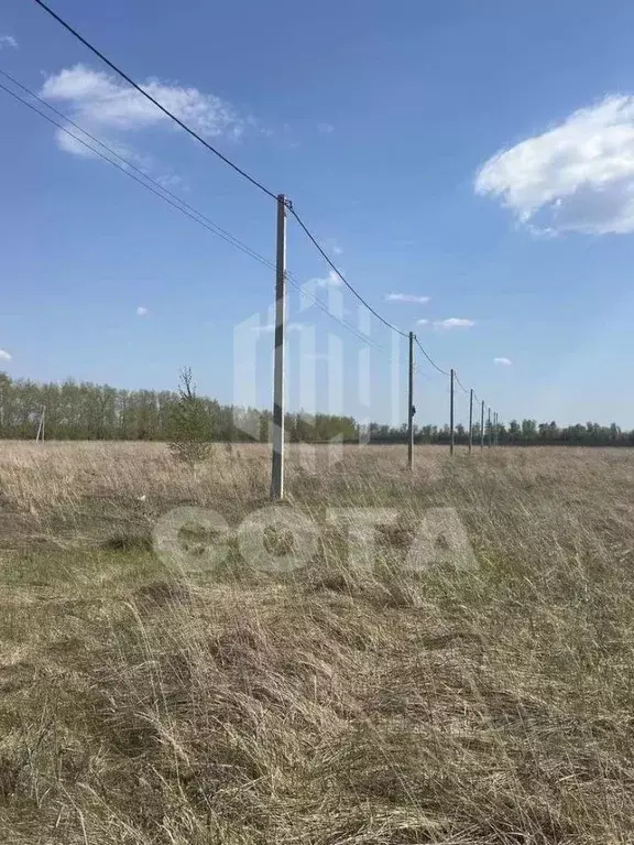 Участок в Воронежская область, с. Новая Усмань ул. Конструкторов, 105 ... - Фото 1