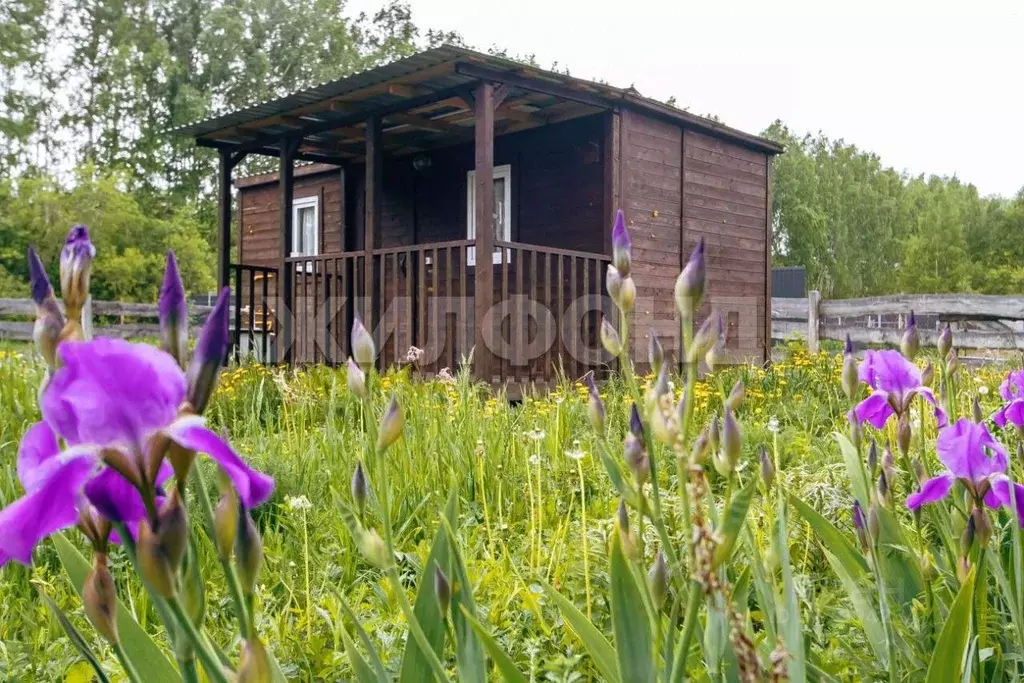 Дом в Новосибирская область, Обь ул. Светлая (20 м) - Фото 0