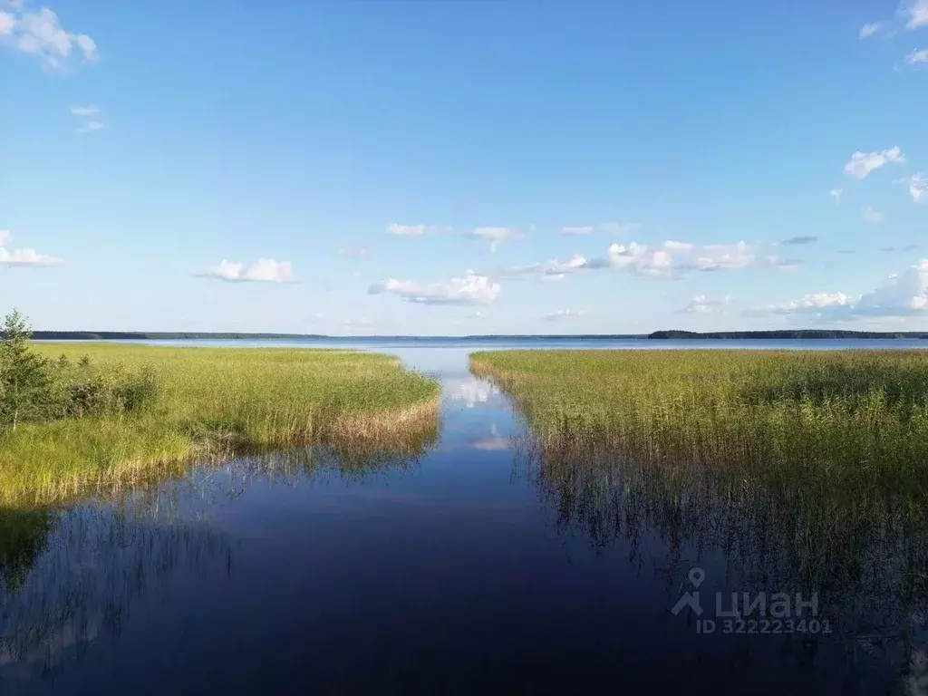 Участок в Ленинградская область, Выборгский район, Красносельское ... - Фото 1