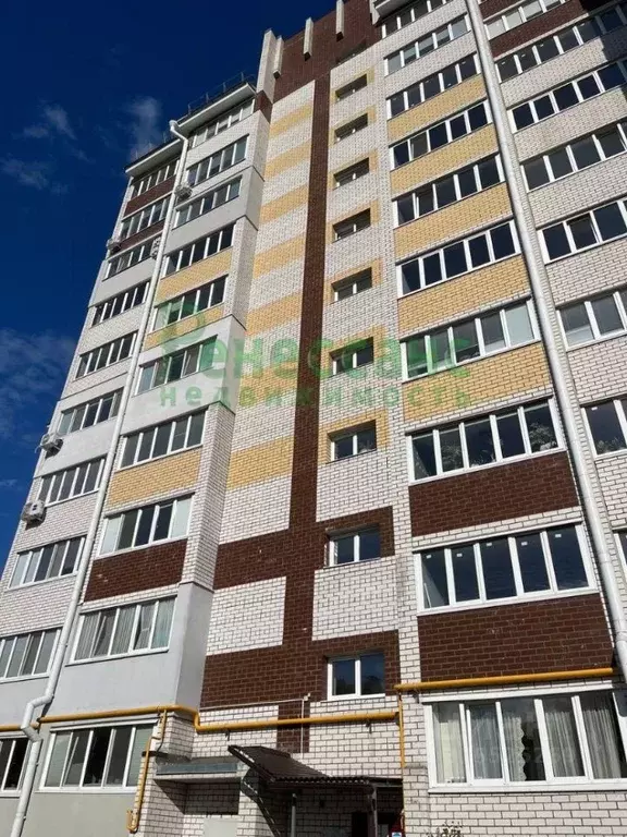 1-к кв. Брянская область, Брянск ул. Куйбышева, 118 (47.0 м) - Фото 0
