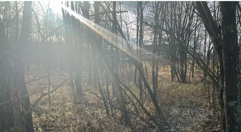 Участок в Московская область, Ступино пер. 1-й Знаменский (8.0 сот.) - Фото 1