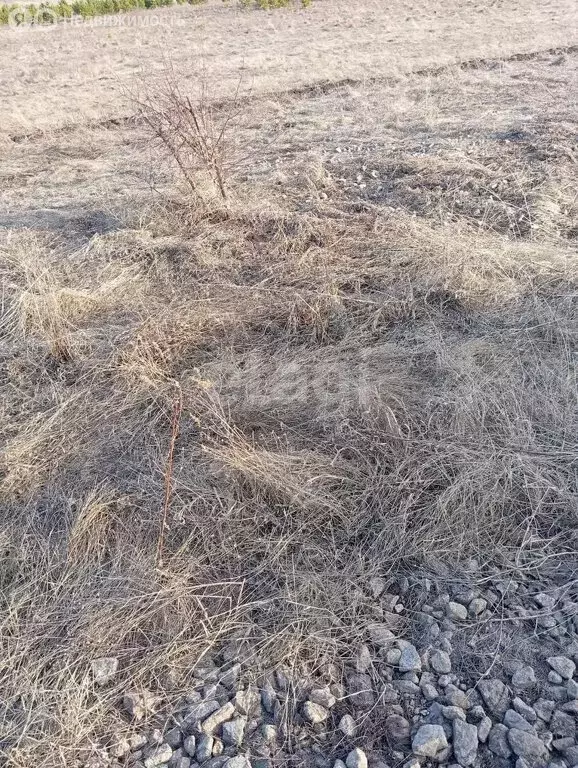 Участок в Алапаевск, улица Ленина (10 м) - Фото 0