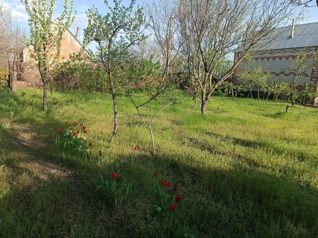 Дом в Ростовская область, Каменск-Шахтинский (12.5 м) - Фото 0