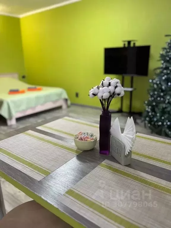 Студия Ленинградская область, Выборг просп. Ленина, 30 (30.0 м) - Фото 1