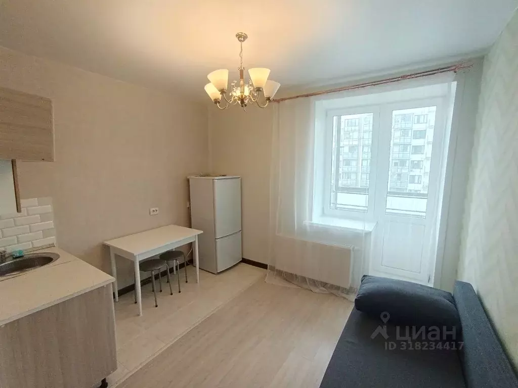 Студия Московская область, Балашиха ул. Безымянная, 4 (25.0 м) - Фото 0