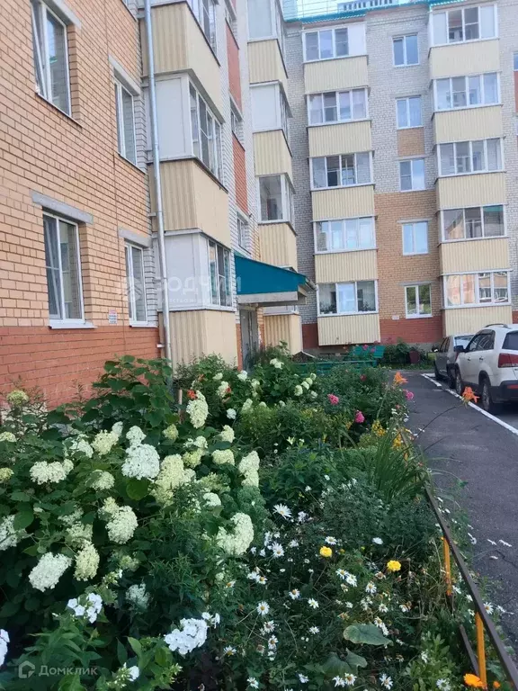 Продаётся квартира-студия, 26 м - Фото 0