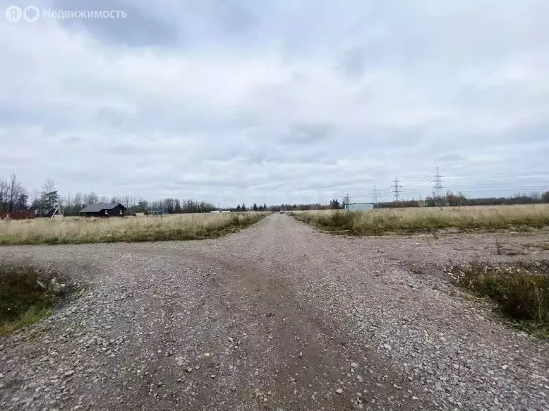 Участок в Колпино, дачный посёлок Северная Славянка (11 м) - Фото 2