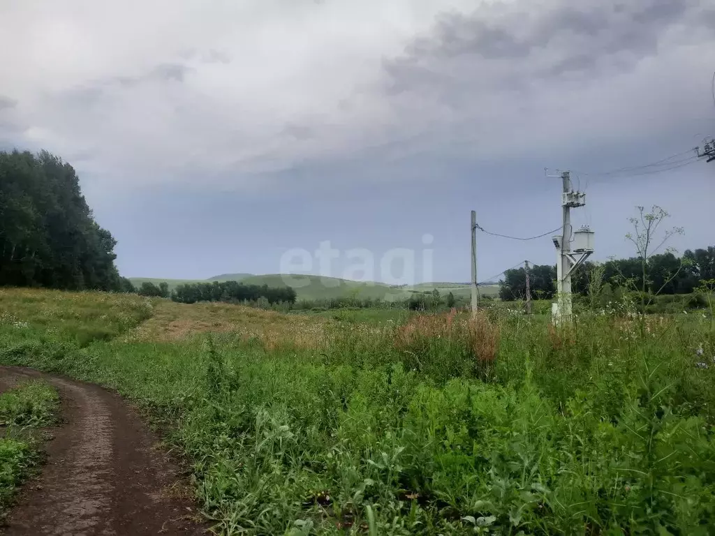 Участок в Алтайский край, Алтайский район, с. Алтайское ул. Советская ... - Фото 1