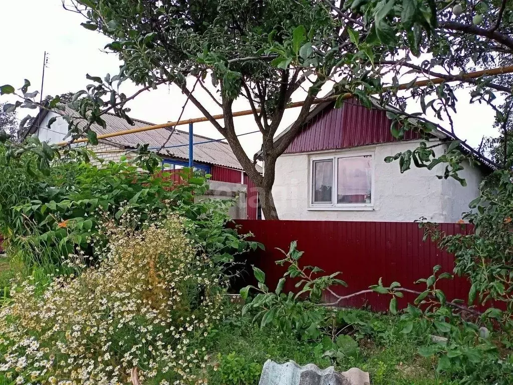 Дом в Белгородская область, Ровеньский район, Айдарское с/пос, с. ... - Фото 1