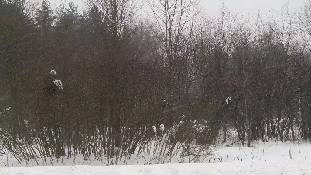 Участок в Московская область, Рузский муниципальный округ, д. ... - Фото 1