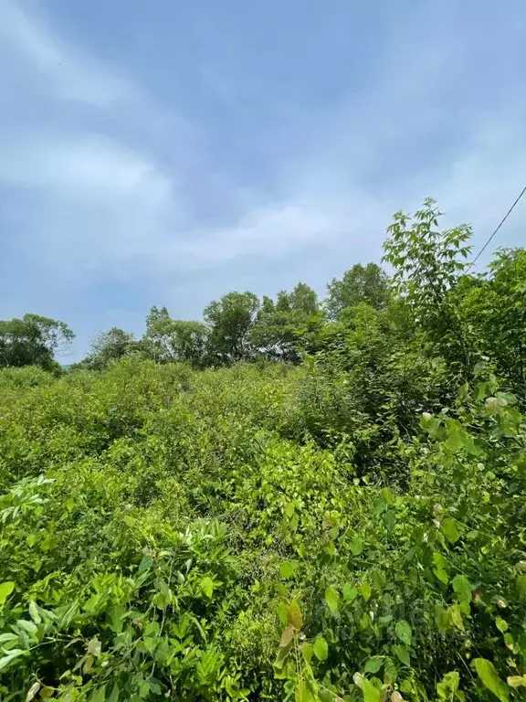 Участок в Приморский край, Уссурийский городской округ, с. Глуховка ... - Фото 0