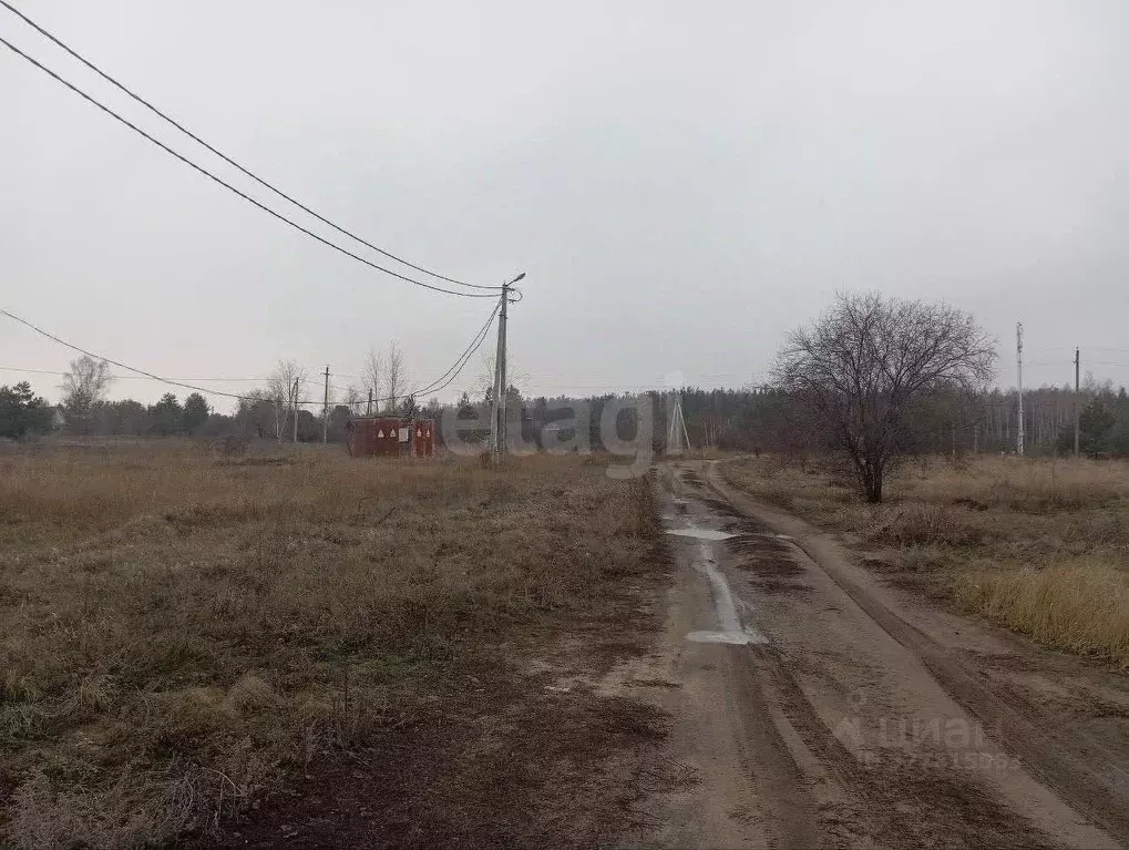 Участок в Воронежская область, Рамонский район, Новоживотинновское ... - Фото 2