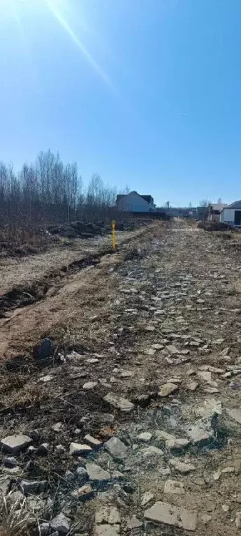 Участок в Нижегородская область, Богородский муниципальный округ, д. ... - Фото 0