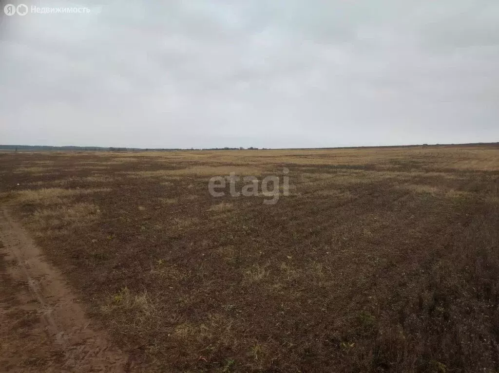 Участок в деревня Малая Шильна, улица Татарстан (384 м) - Фото 1