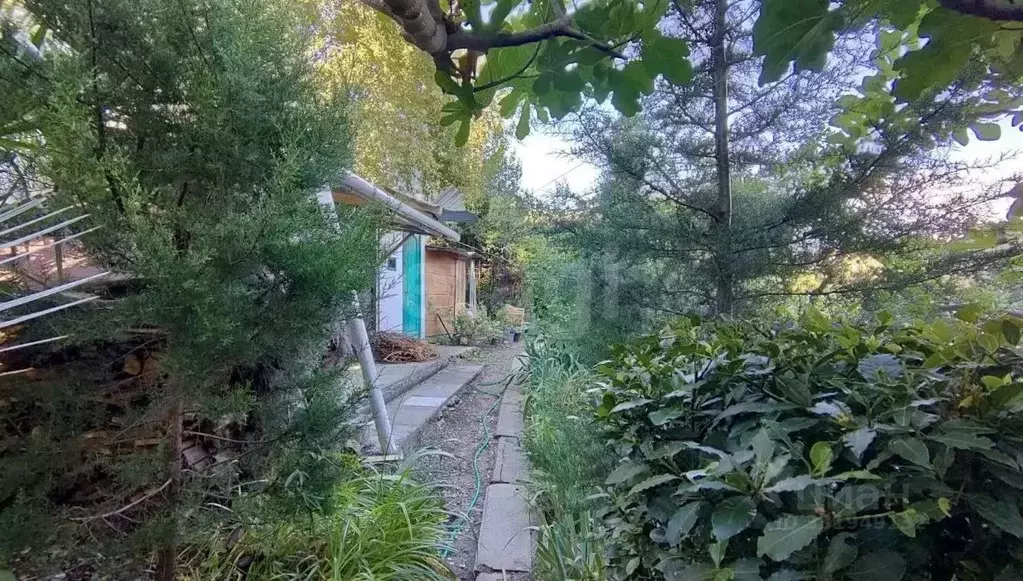 1-к кв. Крым, Ялта ул. Ломоносова, 35А (11.5 м) - Фото 1