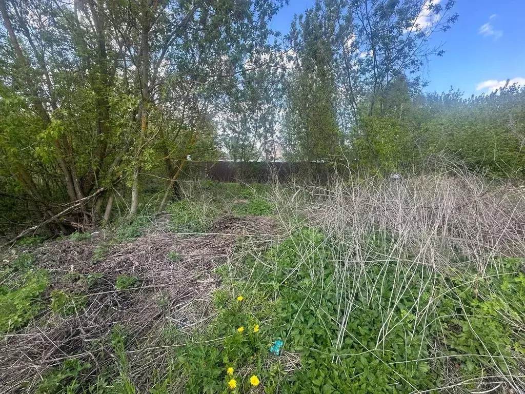 Участок в Московская область, Богородский городской округ, д. Белая  ... - Фото 0