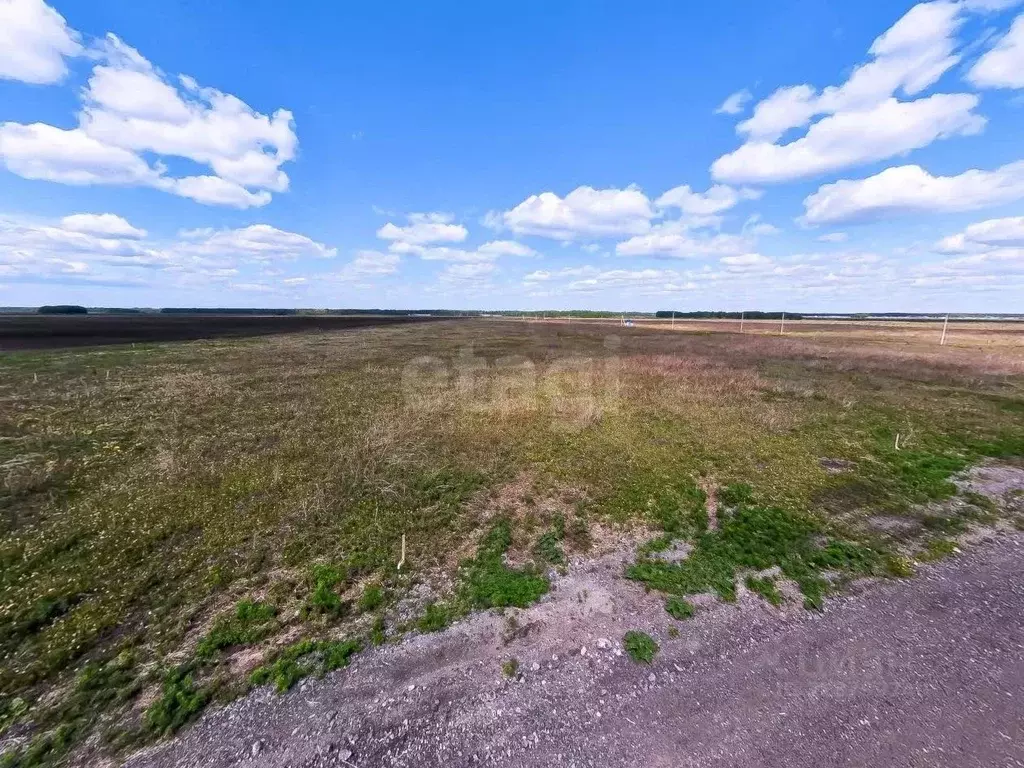 Участок в Тюменская область, Тюменский муниципальный округ, д. ... - Фото 2