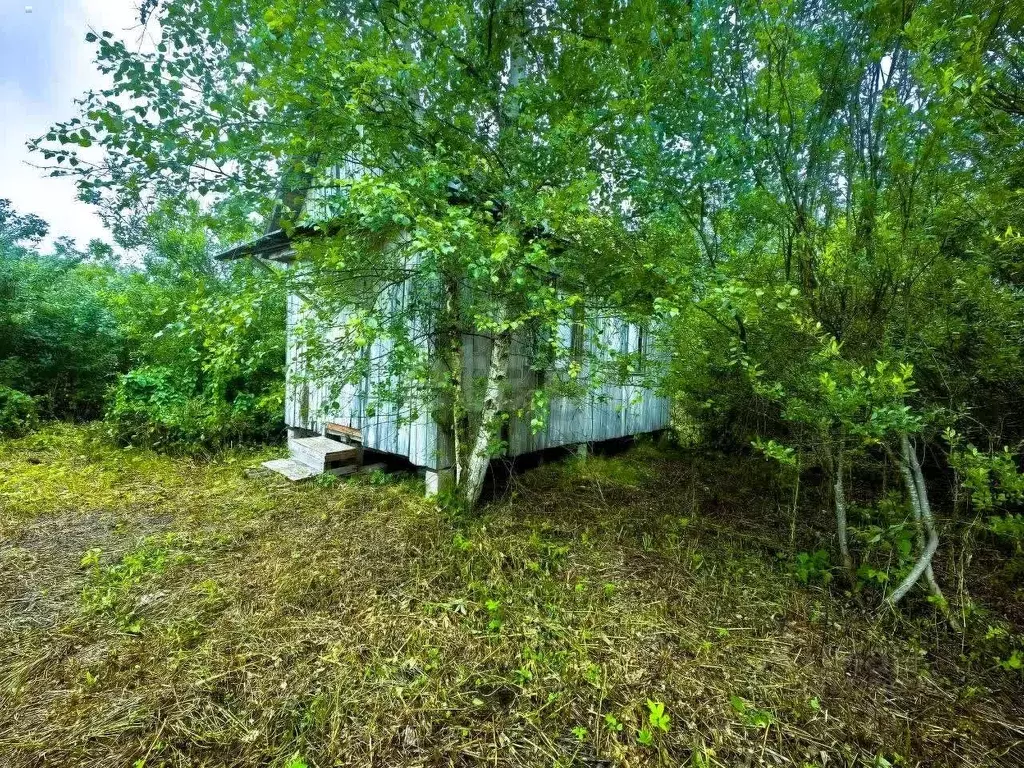 Участок в Ленинградская область, Волховский район, Кисельнинское ... - Фото 0