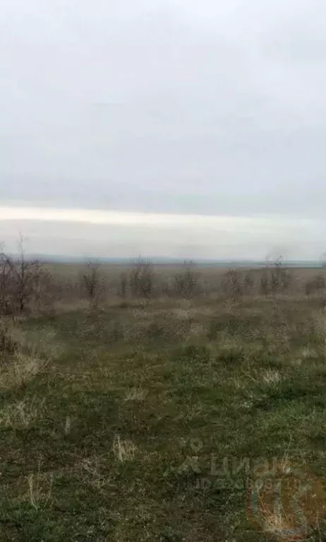 Участок в Крым, Бахчисарайский район, Песчановское с/пос, с. Береговое ... - Фото 0