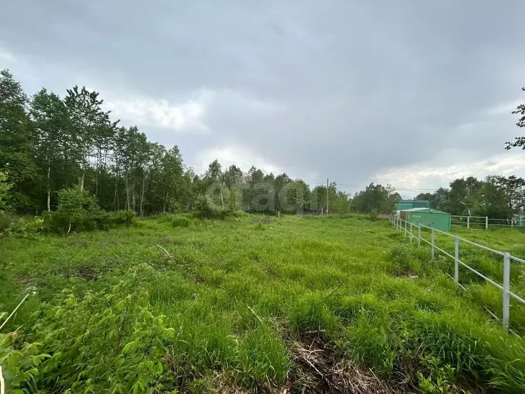 Участок в Камчатский край, Елизовский муниципальный округ, ... - Фото 2