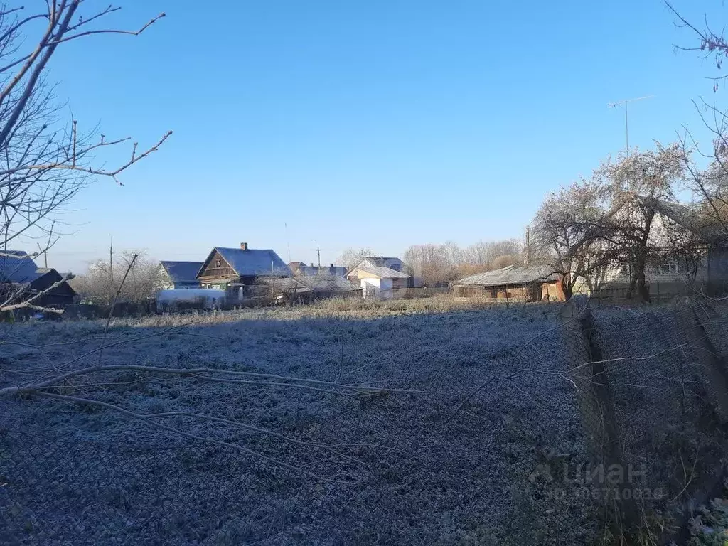 Участок в Псковская область, Остров ул. Освобождения (12.5 сот.) - Фото 0