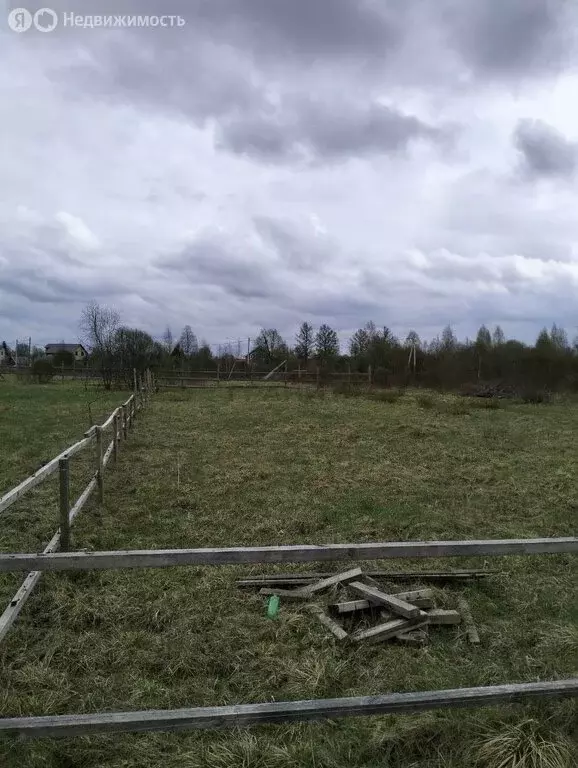 Участок в Новгородская область, рабочий посёлок Крестцы, Тенистая ... - Фото 1