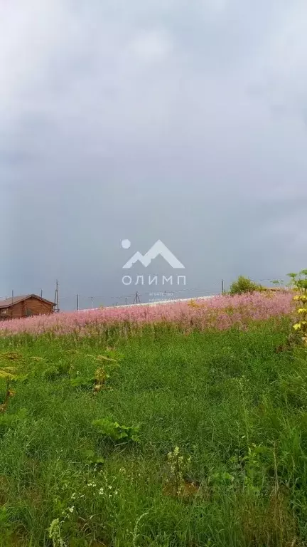 Участок в Вологодская область, д. Стризнево (Старосельский сельсовет)  ... - Фото 2