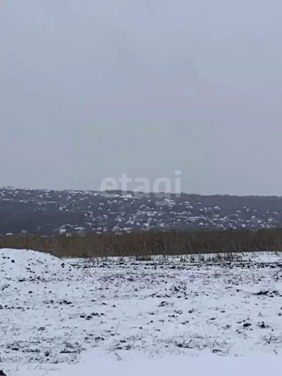 Участок в Белгородская область, Белгородский район, Головинское с/пос, ... - Фото 2