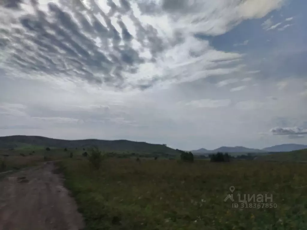 Участок в Алтай, Майминский район, с. Подгорное Центральная ул. (7.6 ... - Фото 1