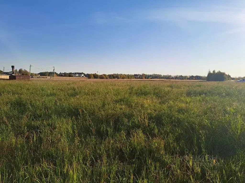 Участок в Московская область, Кашира городской округ, д. Никулино  ... - Фото 0