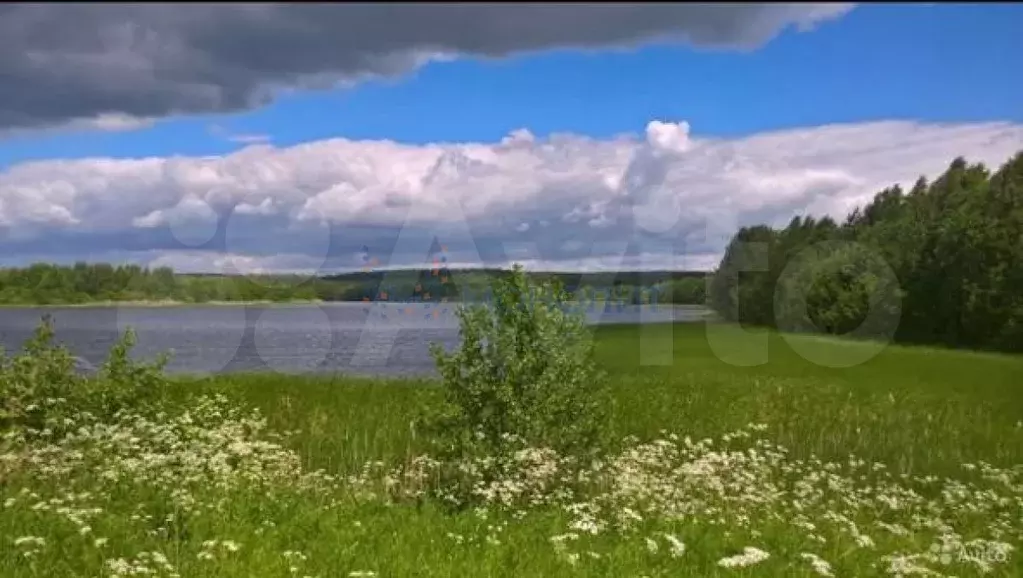 Участок 37,7 сот. (ИЖС) - Фото 0