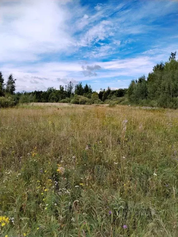 Участок в Новгородская область, Новгородский район, Ракомское с/пос, ... - Фото 0