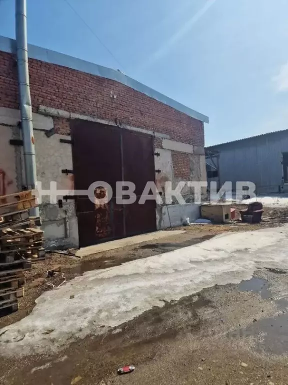 Производственное помещение в Новосибирская область, Новосибирский ... - Фото 1