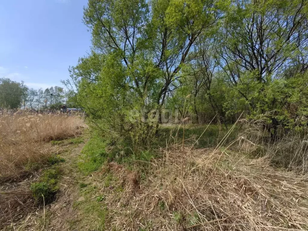 Участок в Хабаровский край, Хабаровский район, Политехник СНТ  (13.0 ... - Фото 2