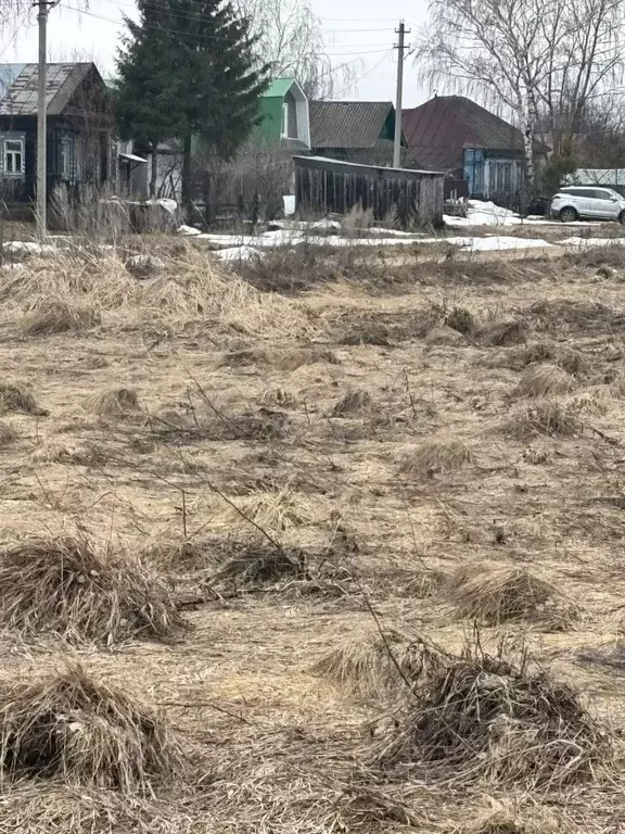 Участок в Нижегородская область, Арзамас городской округ, с. Новый ... - Фото 2