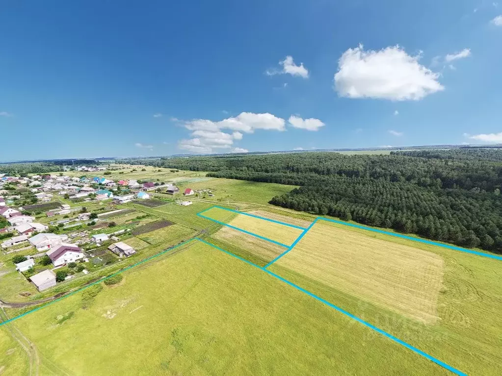 Участок в Алтайский край, Косихинский район, с. Налобиха ул. Тельмана, ... - Фото 2